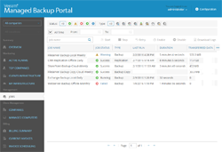 Start a managed backup service with Veeam, including remote backup monitoring and remote backup management.