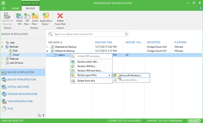 In case of disaster, you can restore entire VMs, VM files, VM hard disks and VM guest OS files from the cloud in several clicks.