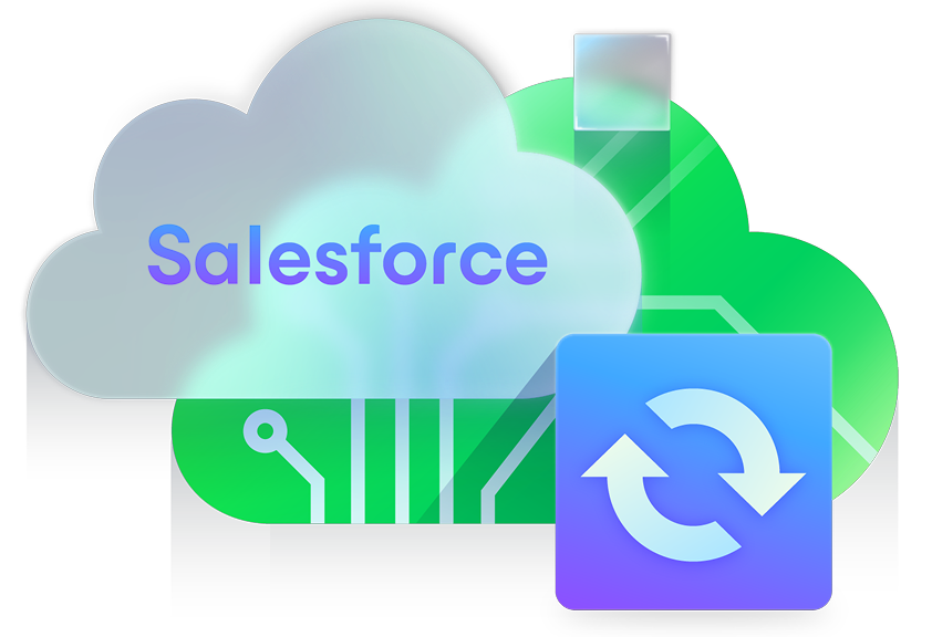 Safeguard Salesforce Data